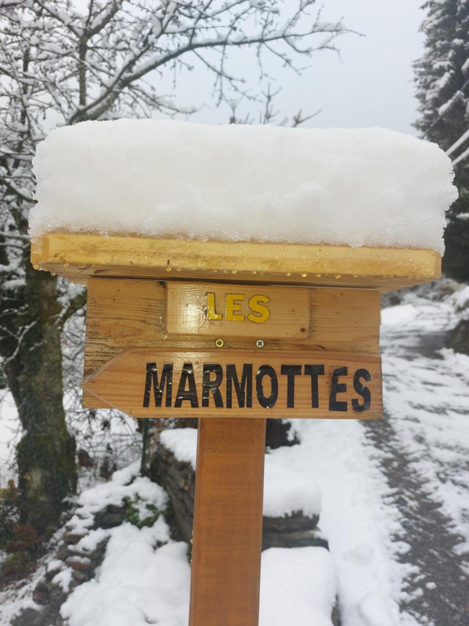 Les Marmottes Apartment Les Etalons Cameră foto